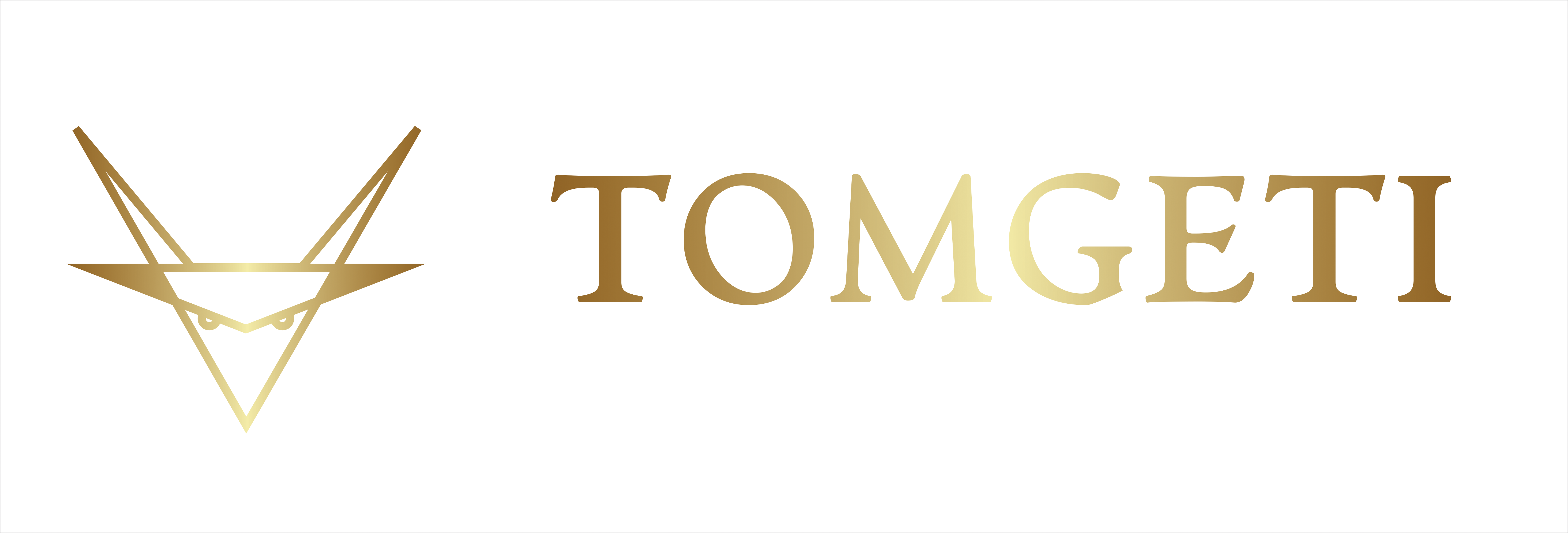 Tomgeti full logo transparent without slogan